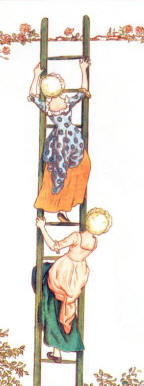 Children climbing a ladder