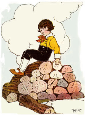 Child on pile of wood