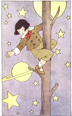 Peter, Popper - Boy on a Tree reaching for stars