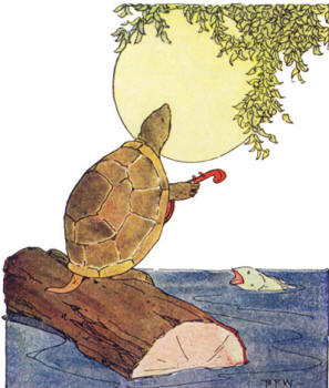 Pinky, Pinky, Pang - Turtle on a log