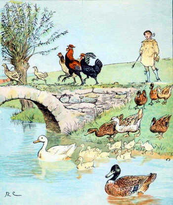 Farmer's Boy - Ducks