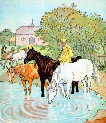 Farmer's Boy - Horses
