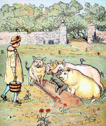 Farmer's Boy - Pigs