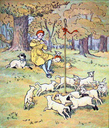 Farmer's Boy - Sheep