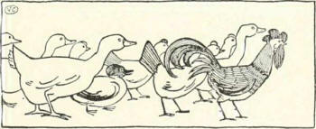 The Straw Ox - Ducks and Geese