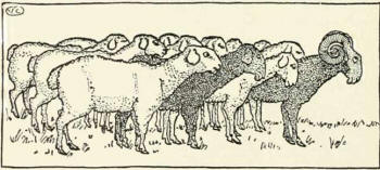 The Straw Ox - Sheep