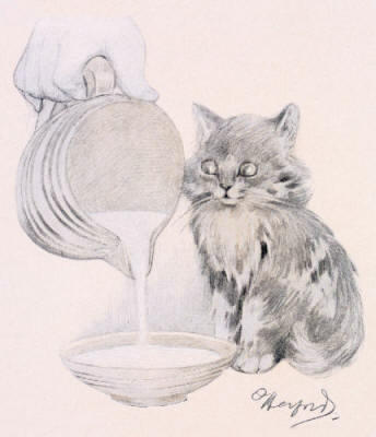 Kitten - The Milk Jug