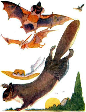 Children Animal Story - Bat - Flying Fox -  Flying Squirrel