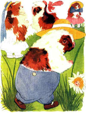 Children Animal Story - Guinea Pig