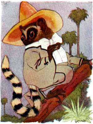Children Animal Story - Lemur