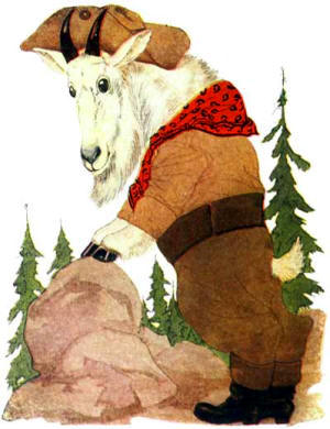 Children Animal Story - Rocky Mountain Goat