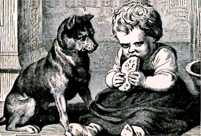 Dog looking at baby eating