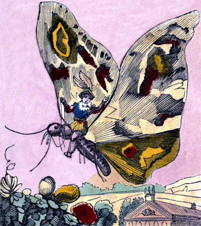 Tom Thumb - Boy flying on butterfly