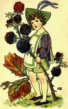 Blackberry-Fairy-Girl-A-Flower-Book