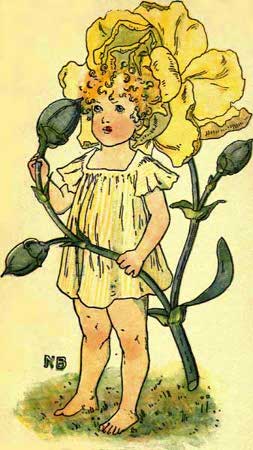 Carnation-Fairy-Girl-A-Flower-Book