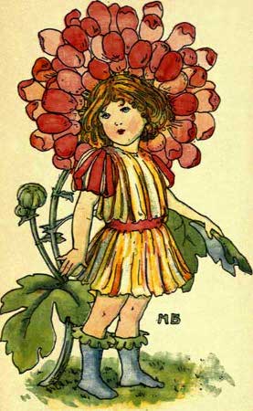 Chrysanthemum-Fairy-Girl-A-Flower-Book