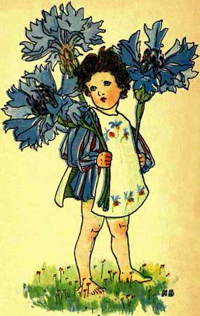 Cornflower-Fairy-Girl-A-Flower-Book