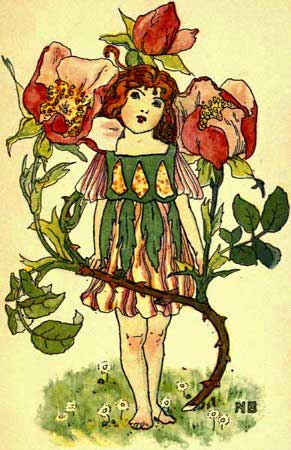 Dog-Rose-Fairy-Girl-A-Flower-Book