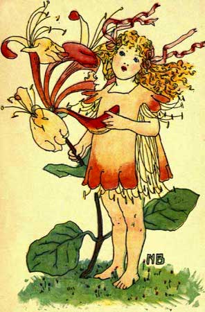 Honeysuckle-Fairy-Girl-A-Flower-Book
