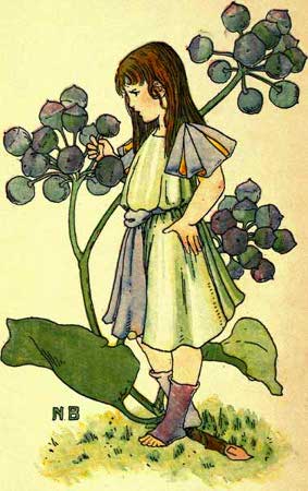 Ivy-Fairy-Girl-A-Flower-Book.jpg