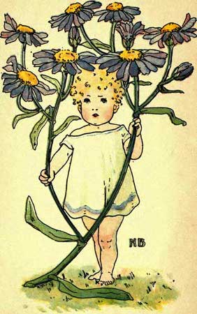 Michaelmas-Daisy-Fairy-Girl-A-Flower-Book