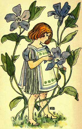 Periwinkle-Fairy-Girl-A-Flower-Book