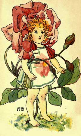 Rose-Fairy-Girl-A-Flower-Book