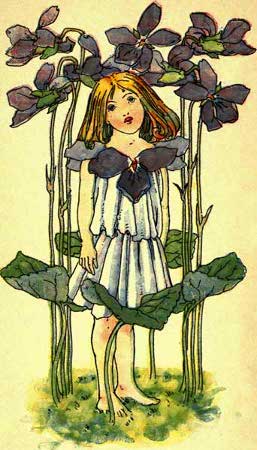 Violet-Fairy-Girl-A-Flower-Book