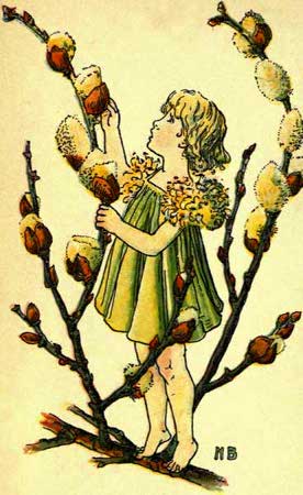 Willow-Fairy-Girl-A-Flower-Book