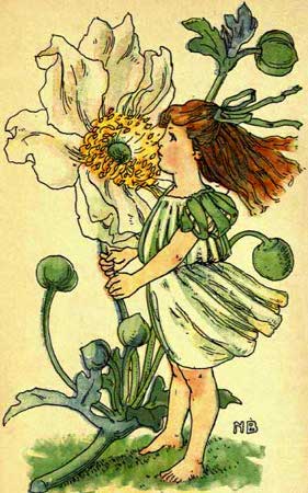 Wind-Flower-Fairy-Girl-A-Flower-Book