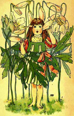 Wood-Anemone-Fairy-Girl-A-Flower-Book