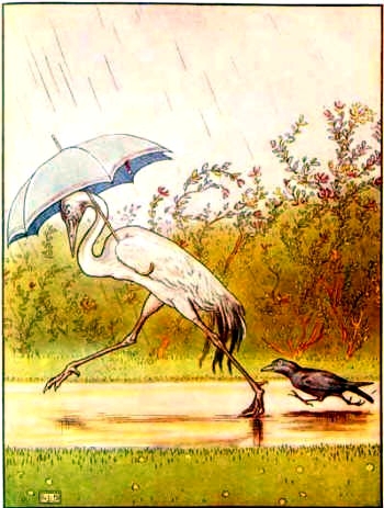 Crane caught in the rain