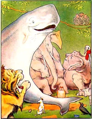 Whale telling a tale