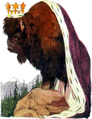 Children Animal Story - Buffalo