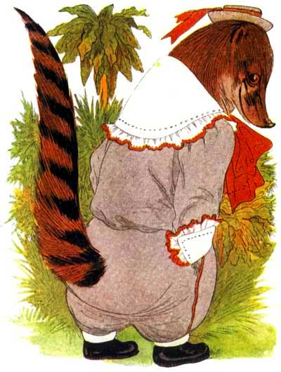 Children Animal Story - Coati