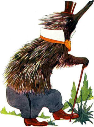 Children Animal Story - Echidna