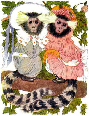 Children Animal Story - Marmoset