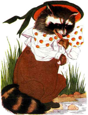 Children Animal Story - Raccoon