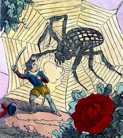 Tom Thumb - Boy fighting a spider