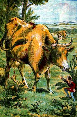 Tom Thumb - The cow eats little Tom