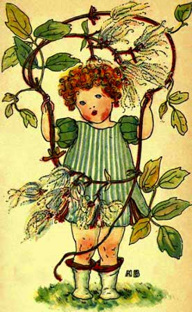 Clematis-Fairy-Girl-A-Flower-Book