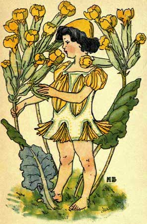 Cowslip-Fairy-Girl-A-Flower-Book